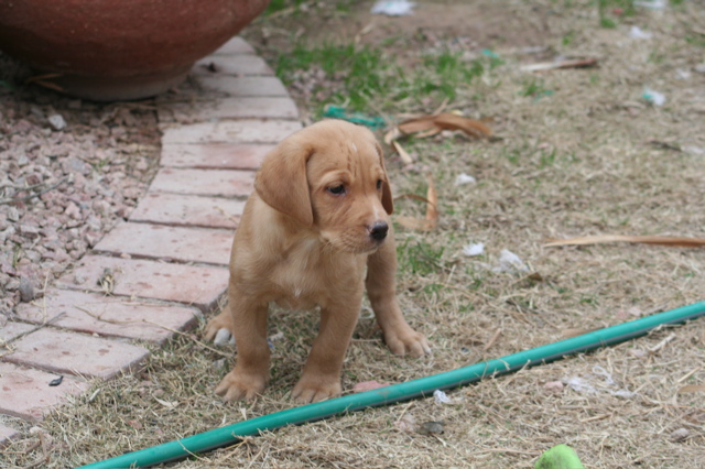 First outing - 9